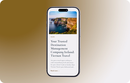 Santos Digital projekti - Tiernan Travel 3